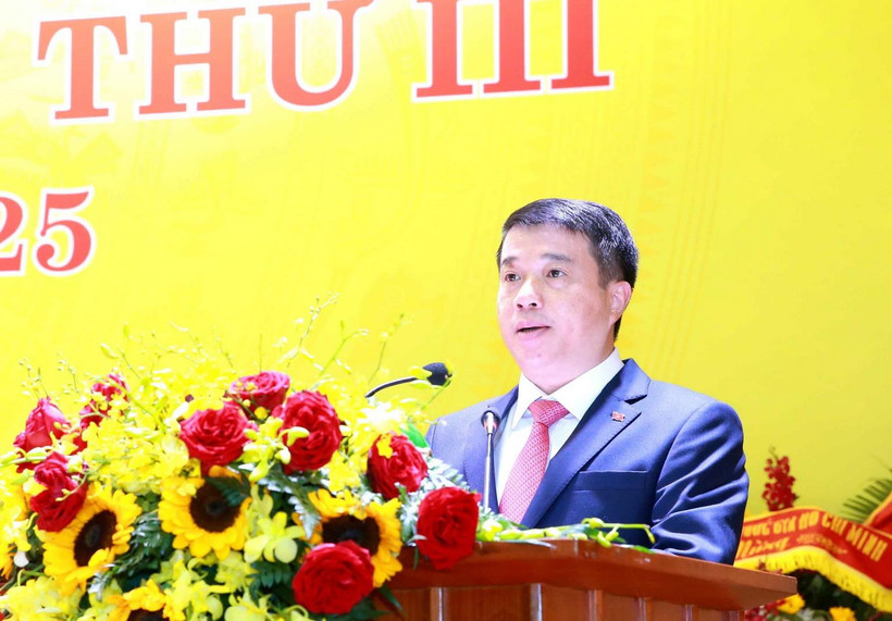 Đồng chí Y Thanh Hà Niê Kđăm, Ủy viên Dự khuyết Trung ương Đảng, Bí thư Đảng uỷ Khối Doanh nghiệp Trung ương nhiệm kỳ 2020-2025 phát biểu tại Đại hội. (Ảnh: Phương Hoa/TTXVN)