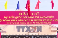 Niềm tin của cử tri tỉnh Tây Ninh gửi vào lá phiếu