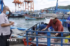 Lực lượng chức năng giám sát hoạt động đưa cá lên cảng. (Ảnh: Đình Quân/TTXVN)