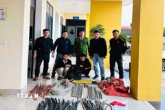 Công an Hà Tĩnh khởi tố 2 anh em Hứa Văn Quang (sinh năm 1984) và Hứa Văn Quí (sinh năm 1990), cùng trú tại thôn Vực Tuần, xã Cát Thịnh, tỉnh Lào Cai, về tội trộm cắp tài sản. (Ảnh: TTXVN phát)