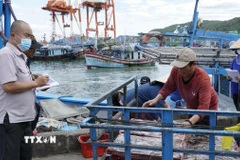 Lực lượng chức năng giám sát hoạt động đưa cá lên cảng. (Ảnh: Đình Quân/TTXVN)