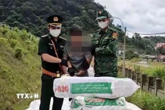 (Ảnh minh họa. TTXVN phát)