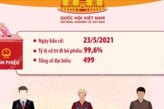Kết quả bầu cử đại biểu Quốc hội khóa XV