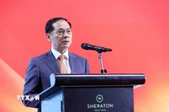 Phó Thủ tướng Bùi Thanh Sơn phát biểu. (Ảnh: An Đăng/TTXVN)