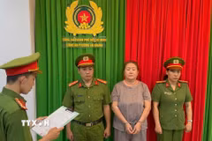 Công an Thành phố Hồ Chí Minh ra quyết định khởi tố đối tượng Đỗ Hồng Trinh. (Ảnh: TTXVN phát)