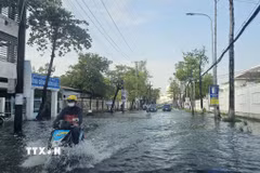 Ngập nặng trên nhiều tuyến đường tại khu vực trung tâm hành chính tỉnh Cà Mau. (Ảnh: Trung Hiếu/TTXVN)