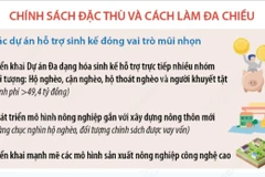 Hà Nội: Hình mẫu trong thực hiện mục tiêu giảm nghèo bền vững