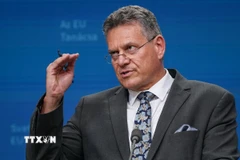 Ủy viên Thương mại Liên minh châu Âu Maros Sefcovic tại cuộc họp báo ở Brussels, Bỉ. (Ảnh: THX/TTXVN)
