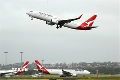 Máy bay của hãng hàng không Qantas tại sân bay Sydney, Australia. (Ảnh: AFP/TTXVN)