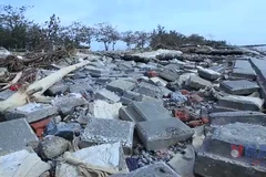 Ninh Bình: Bờ kè hơn 100 tỷ đồng đổ nát sau mưa bão