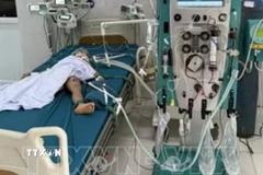 Cháu nhỏ đang được cấp cứu, điều trị tại bệnh viện Nhi tỉnh Gia Lai sau khi bị ong vò vẽ đốt. (Ảnh: TTXVN phát)