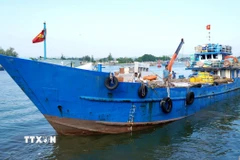 Tàu vận tải rời cảng Sa Kỳ chở hàng hóa ra đặc khu Lý Sơn phục vụ thị trường Tết. (Ảnh: Lê Phước Ngọc/TTXVN)