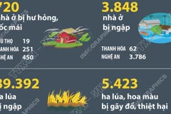 Thiệt hại do ảnh hưởng của bão số 3 và mưa lũ
