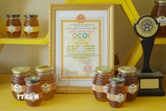 Mật ong Hoa Ban (sản phẩm OCOP 4 sao) là sản phẩm mật ong đặc trưng của Hợp tác xã ong mật Điện Biên. (Ảnh: TTXVN phát)