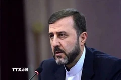 Thứ trưởng Ngoại giao Iran phụ trách các vấn đề quốc tế Kazem Gharibabadi. (Ảnh: IRNA/TTXVN)