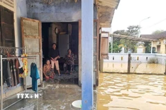 Hộ gia đình bà Nguyễn Thị Khế, khóm 18, Tổ dân phố Phú Khê, phường Dương Nỗ (Huế), đặc biệt khó khăn, vẫn đang ngập trong lũ. (Ảnh: Kha Phạm/TTXVN)