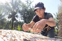 Làng nghề cá khô Bình Thắng (xã Bình Đại, tỉnh Vĩnh Long). (Ảnh: Huỳnh Phúc Hậu/TTXVN)