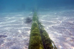 Ảnh minh họa: Công nhân lắp đặt đường cáp quang đất liền tại thành phố Espoo, Phần Lan. Ảnh: AP 