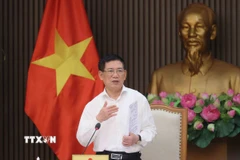 Phó Thủ tướng Hồ Đức Phớc phát biểu tại cuộc họp. (Ảnh: An Đăng/TTXVN)