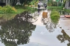 Đường Bùi Thị Cúc, thành phố Cần Thơ lần đầu tiên bị ngập. (Ảnh: Duy Khương/TTXVN)