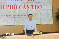 Ông Vương Quốc Nam, Phó Chủ tịch UBND TP. Cần Thơ, phát biểu tại cuộc họp cuộc họp với đại diện các doanh nghiệp nhà nước và doanh nghiệp có vốn nhà nước trên địa bàn nhằm nắm tình hình hoạt động và tháo gỡ khó khăn, vướng mắc cho các doanh nghiệp sau thực hiện sắp xếp đơn vị hành chính của thành phố. (Ảnh: Ngọc Thiện/TTXVN)