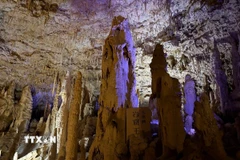 Những măng đá, nhũ đá mọc lên san sát như rừng cột đá khổng lồ. (Ảnh: Xuân Giao/TTXVN)