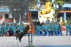 Chiến sỹ Bộ Chỉ huy Quân sự tỉnh Điện Biên thực hành nội dung huấn luyện vượt vòng lửa, hàng rào dây thép gai tại Lễ ra quân huấn luyện. (Ảnh: Xuân Tư/TTXVN)