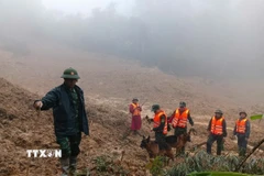Triển khai lực lượng tìm kiếm nạn nhân mất tích trong vụ sạt lở ở xã biên giới Hùng Sơn với sự hỗ trợ của chó nghiệp vụ. (Ảnh: Bộ Tư lệnh Quân khu 5/TTXVN phát)