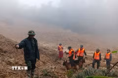 Triển khai lực lượng tìm kiếm nạn nhân mất tích trong vụ sạt lở ở xã biên giới Hùng Sơn với sự hỗ trợ của chó nghiệp vụ. (Ảnh: Bộ Tư lệnh Quân khu 5/TTXVN phát)