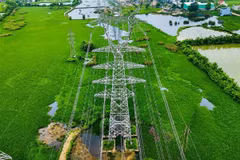Đường dây 500/220kV Nho Quan-Phủ Lý-Thường Tín đóng điện thành công giúp tăng cường đảm bảo điện cho Thủ đô Hà Nội, tỉnh Ninh Bình và các tỉnh lân cận. (Nguồn: TTXVN)