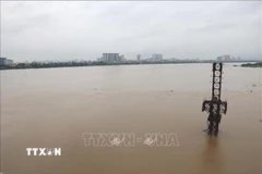 Mực nước sông Hồng đoạn chảy qua Thủ đô Hà Nội dâng cao chịu ảnh hưởng liên tiếp mưa lớn từ cơn bão số 10 và hoàn lưu vùng áp thấp suy yếu từ cơn bão số 11. (Ảnh: Vũ Quang Đán/TTXVN)