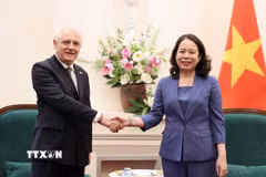 Phó Chủ tịch nước Võ Thị Ánh Xuân tiếp Đại sứ Argentina Marcos Antonio Bednarski đến chào từ biệt. (Ảnh: An Đăng/TTXVN)