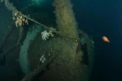 (Ảnh minh họa: news.sky.com)