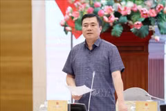 Thứ trưởng Bộ Công thương Nguyễn Sinh Nhật Tân. (Ảnh tư liệu: Phạm Kiên/TTXVN)