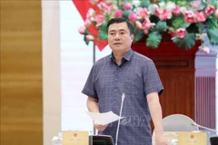 Thứ trưởng Bộ Công thương Nguyễn Sinh Nhật Tân. (Ảnh tư liệu: Phạm Kiên/TTXVN)