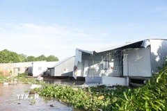 Hiện trường vụ sạt lở bờ sông Tiền, đoạn thuộc phường Cao Lãnh (tỉnh Đồng Tháp) ngày 20/9/2025. (Ảnh: TTXVN phát)