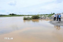 Lãnh đạo xã An Phú kiểm tra việc di chuyển phương tiện sản xuất, thanh thải các vật cản lũ ở bãi sông. (Ảnh: Mạnh Tú/TTXVN)