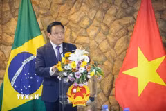 Đại sứ Việt Nam tại Brazil Bùi Văn Nghị phát biểu tại Gặp mặt Hữu nghị cuối năm 2025. (Ảnh: Đại sứ quán Việt Nam tại Brazil cung cấp)