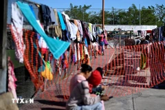 Ảnh minh họa. (Ảnh: THX/TTXVN)