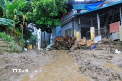 Nhiều ngõ, ngách vẫn chưa được khắc phục. (Ảnh: Đinh Thùy/TTXVN) 