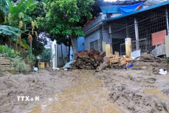 Nhiều ngõ, ngách vẫn chưa được khắc phục. (Ảnh: Đinh Thùy/TTXVN) 