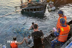 Ảnh minh hoạ. (Ảnh: TTXVN phát)