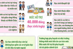 Hà Nội hỗ trợ bữa ăn bán trú cho học sinh tiểu học tối đa 40.000 đồng mỗi ngày