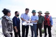 Các lực lượng lập biên bản, cắm mốc theo sơ đồ được cấp phép khai thác cát trên dòng sông Hồng đoạn qua Cẩm Khê (Phú Thọ). (Ảnh: TTXVN )