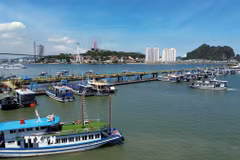 Các tàu du lịch neo đậu tại Cảng tàu khách quốc tế Hạ Long (Quảng Ninh). (Ảnh: Đức Hiếu/TTXVN)