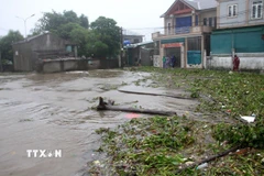 Khu vực khối 6 phường Cửa Lò nước đang dâng lên rất nhanh.( Ảnh: Văn Tý/TTXVN)