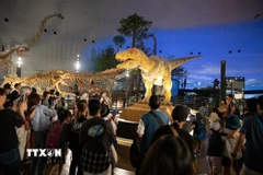 Mô hình khủng long bạo chúa có thể cử động. Ảnh: Xuân Giao/TTXVN)