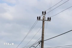 (Ảnh minh họa: Thanh Thủy/TTXVN)