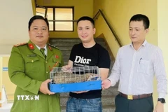 Tiếp nhận cá thể Tê tê nguy cấp, quý, hiếm từ người dân. (Ảnh: TTXVN phát)