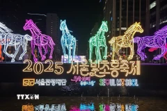 Cổng vào Lễ hội đèn lồng Seoul 2025